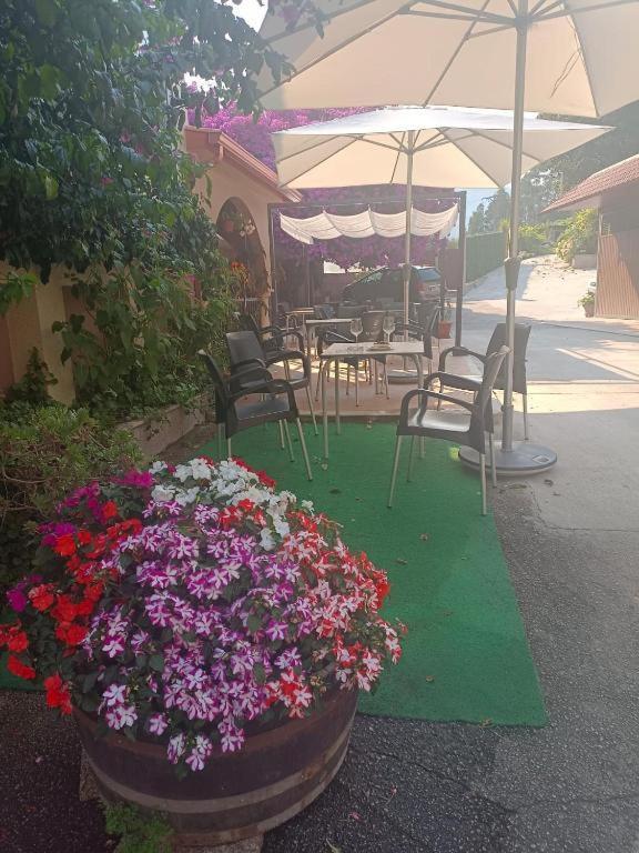 Albergue O Corisco ريدونديلا المظهر الخارجي الصورة